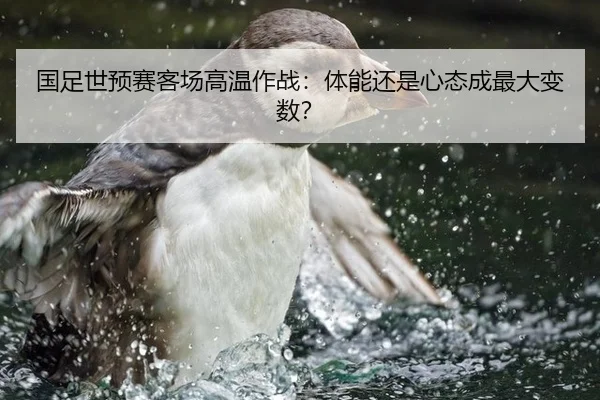 国足世预赛客场高温作战：体能还是心态成最大变数？